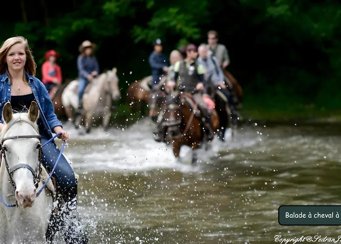 Vakantiehuis Akuna Matata - Family *